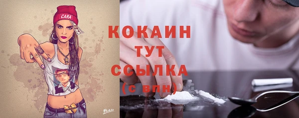 кокс Осташков