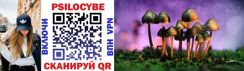 hydra вход  Макушино  Псилоцибиновые грибы мухоморы  где купить  